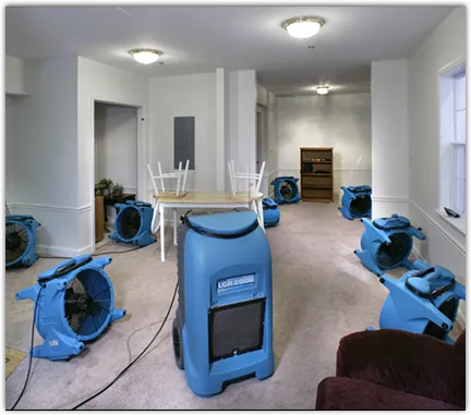 Odor Removal & Deodorization in Pine Bluff, AR
